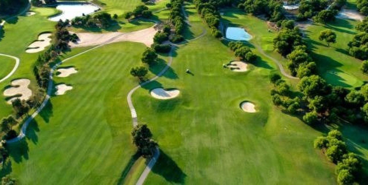 New Build - Villa -
Pilar de la Horadada - Lo Romero Golf