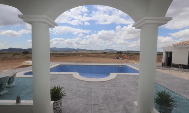 New Build - Villa -
Pinoso - Camino Del Prado