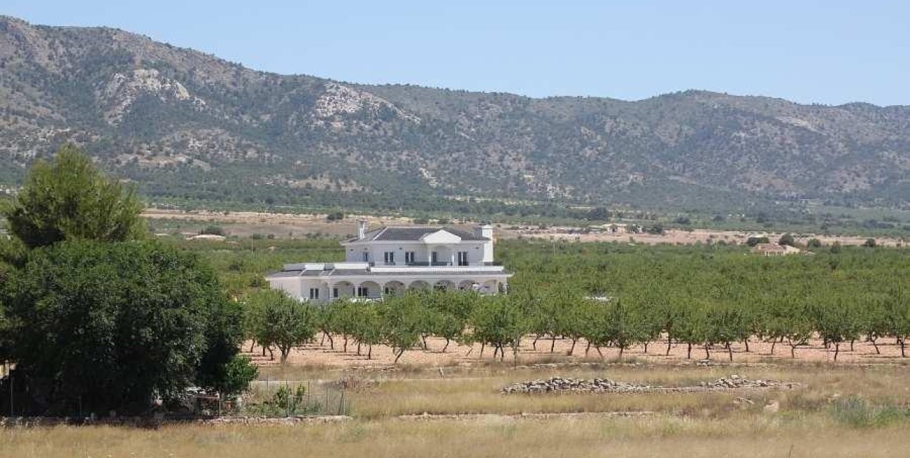 New Build - Villa -
Pinoso - Camino Del Prado