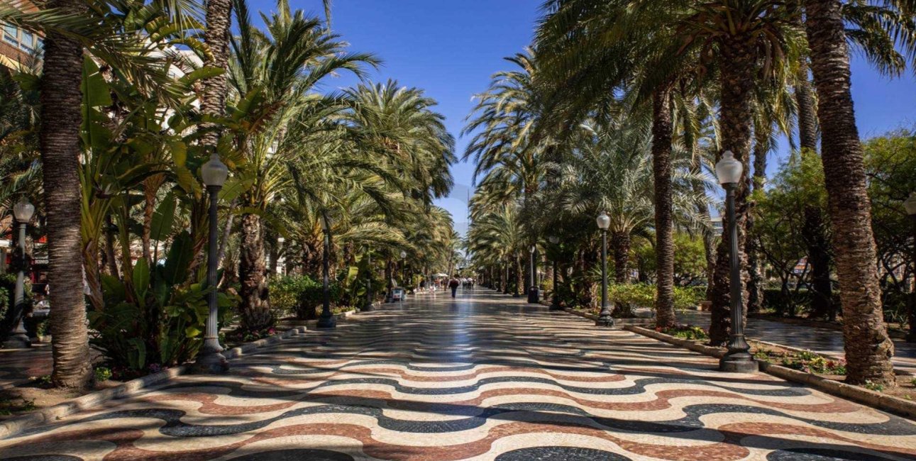 New Build - Apartment / flat -
Alicante - Centro
