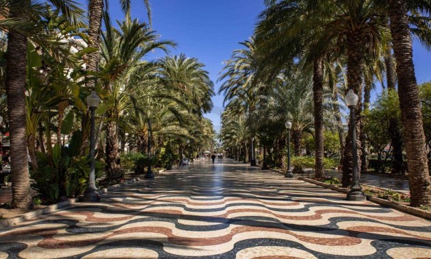 New Build - Apartment / flat -
Alicante - Centro