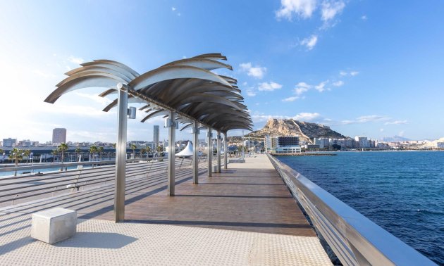 New Build - Apartment / flat -
Alicante - Centro