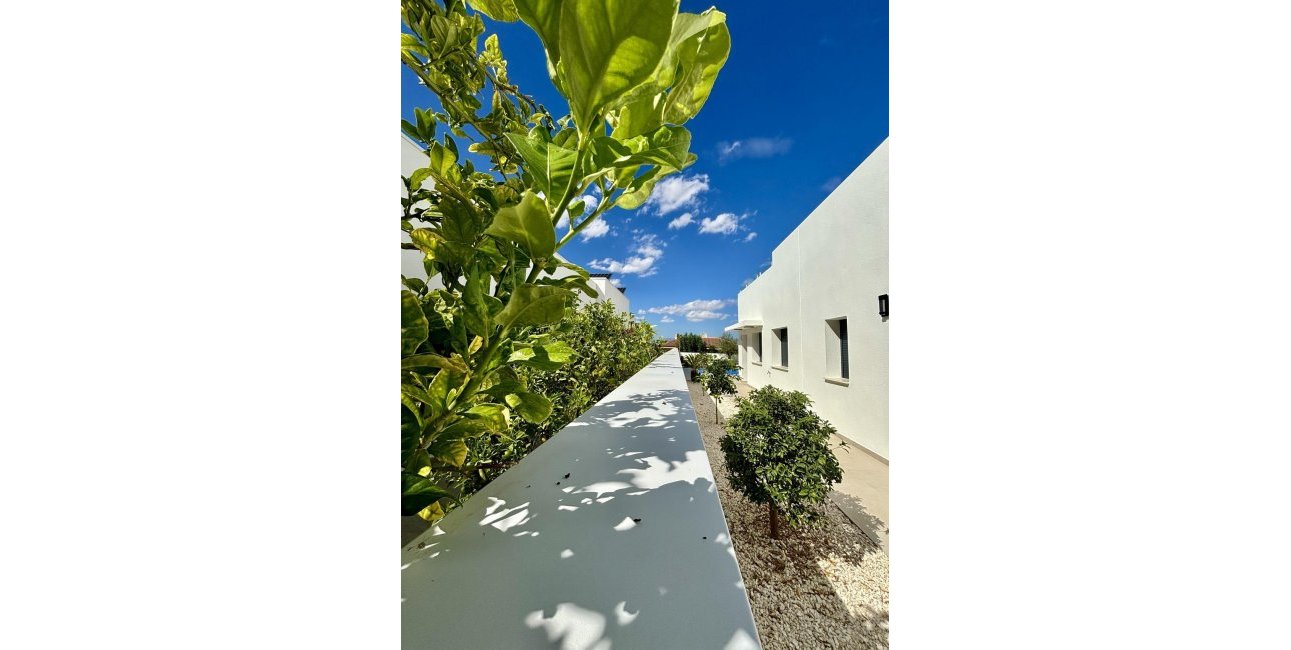 New Build - Villa -
Benijofar - Pueblo