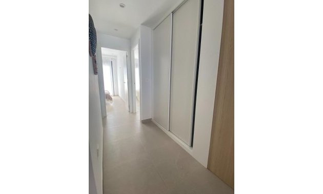 New Build - Bungalow -
San Pedro del Pinatar - Lo Pagan