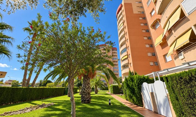Reventa - Apartamento / piso -
Orihuela Costa - Campoamor