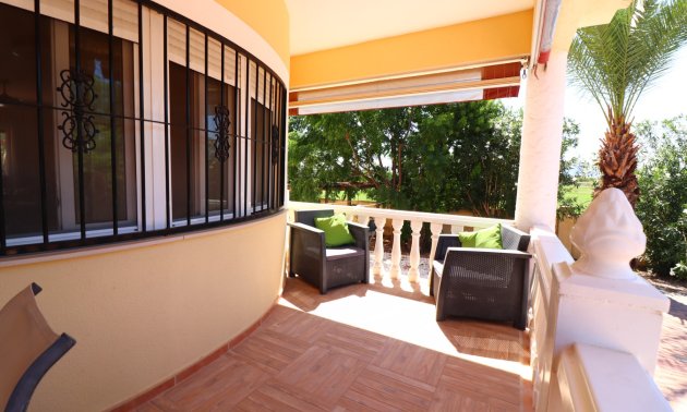 Reventa - Finca -
Catral - Catral - Country