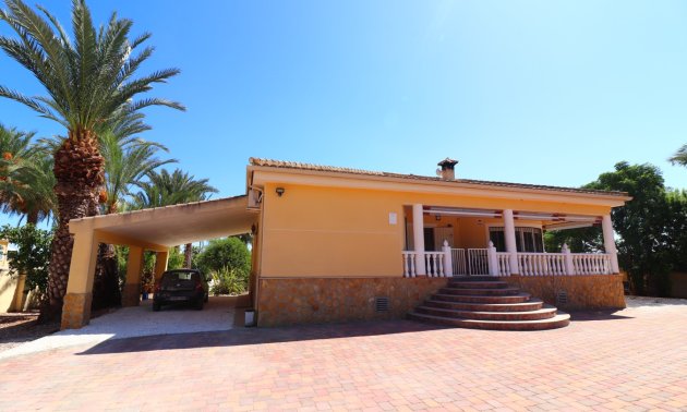 Reventa - Finca -
Catral - Catral - Country