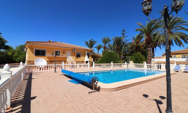 Reventa - Finca -
Catral - Catral - Country