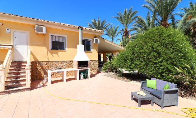 Reventa - Finca -
Catral - Catral - Country