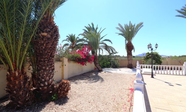 Reventa - Finca -
Catral - Catral - Country