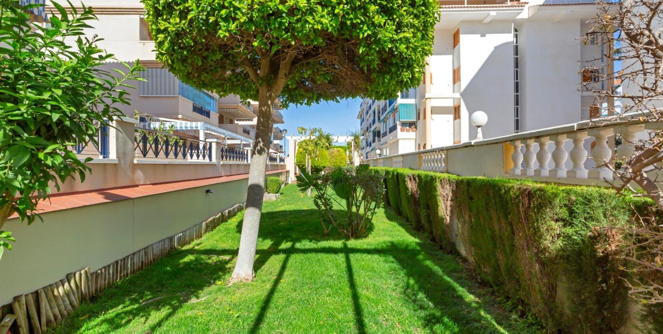 Rynek wtórny - Mieszkanie w bloku -
Torrevieja - La Mata