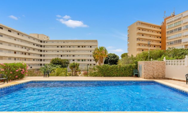 Rynek wtórny - Penthouse -
Torrevieja - Torre la mata