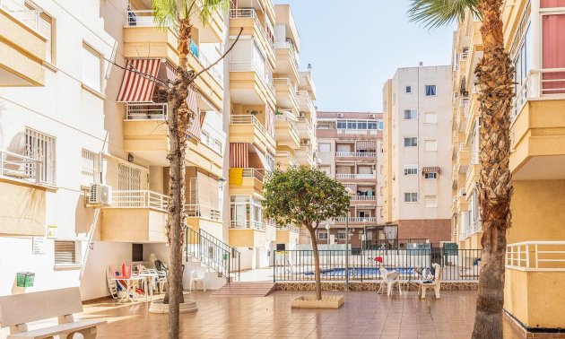 Rynek wtórny - Mieszkanie w bloku -
Torrevieja - Estacion de autobuses