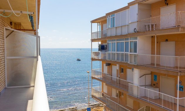 Rynek wtórny - Mieszkanie w bloku -
Torrevieja - Playa de los Naufragos