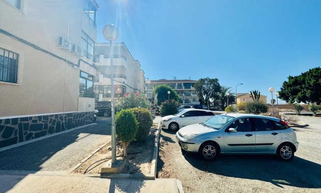 Rynek wtórny - Nauka -
Torrevieja - La Siesta