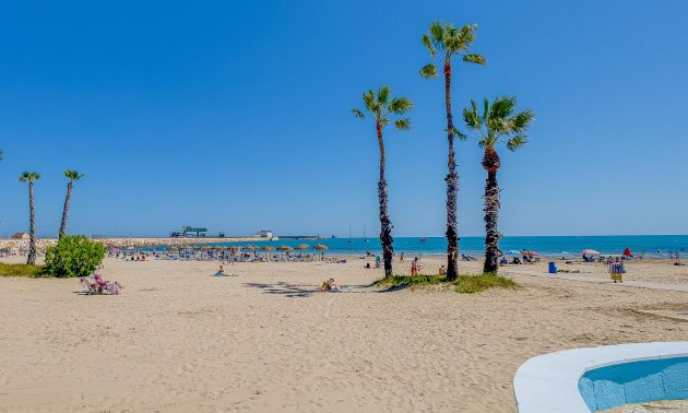 Rynek wtórny - Mieszkanie w bloku -
Torrevieja - Playa de los Naufragos