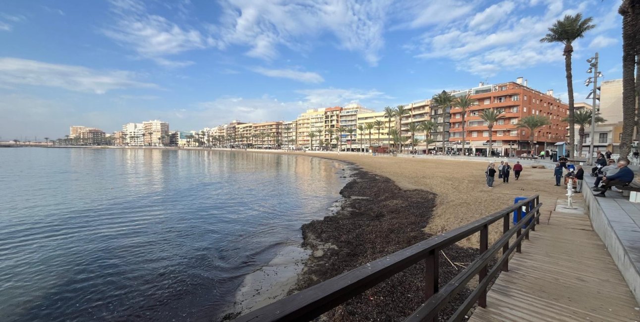 Rynek wtórny - Mieszkanie w bloku -
Torrevieja - Playa del Cura