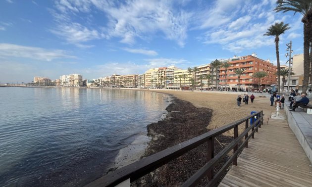 Rynek wtórny - Mieszkanie w bloku -
Torrevieja - Playa del Cura