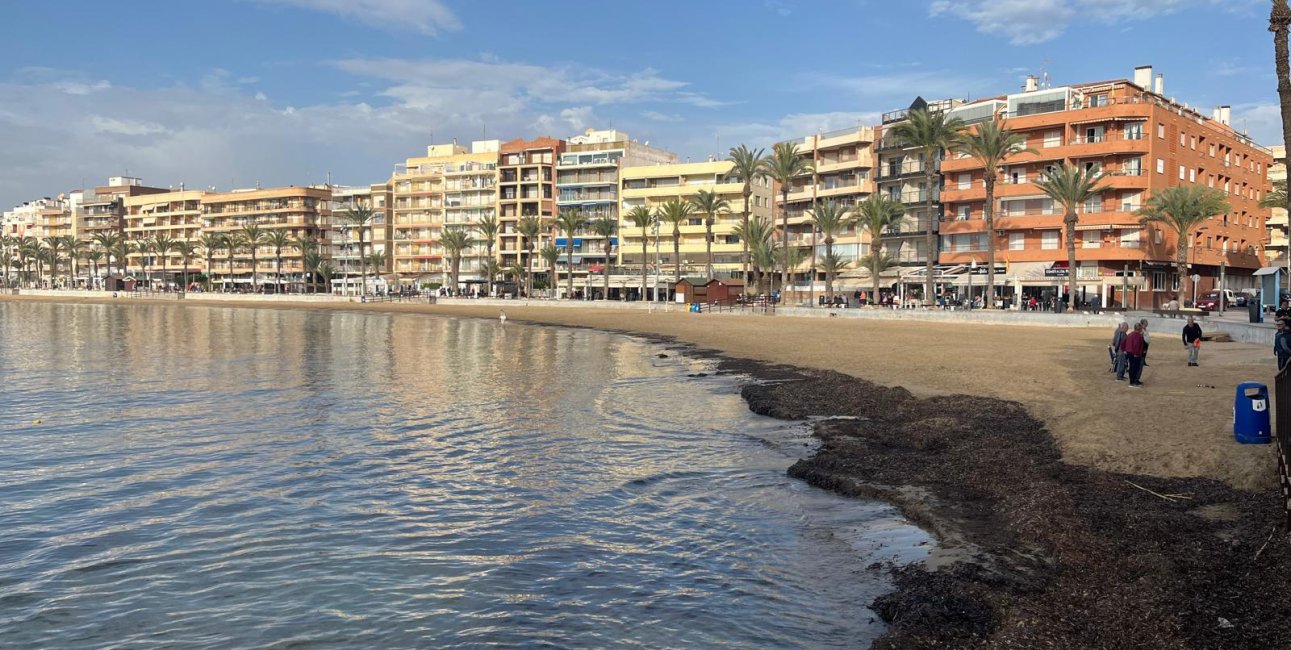 Rynek wtórny - Mieszkanie w bloku -
Torrevieja - Playa del Cura