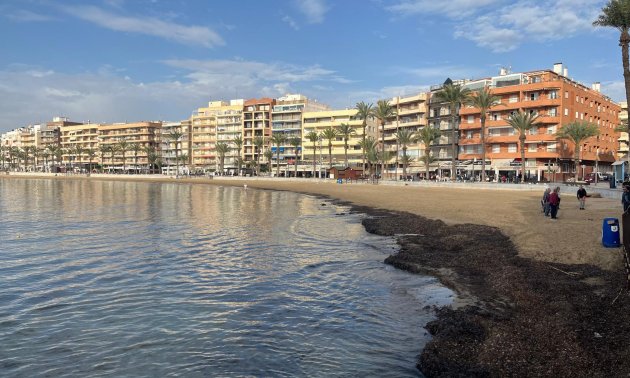 Rynek wtórny - Mieszkanie w bloku -
Torrevieja - Playa del Cura