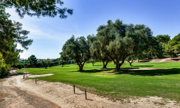 Rynek wtórny - Bungalow -
Orihuela Costa - Villamartín