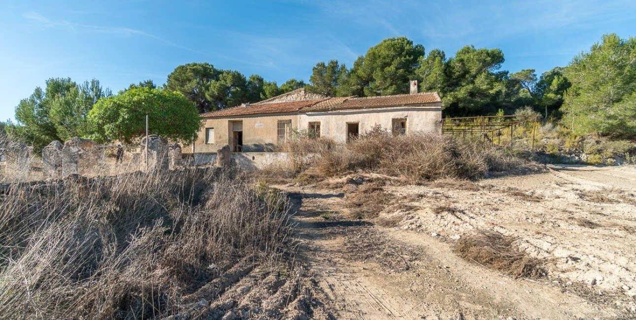 Rynek wtórny - Finca -
Pilar de la Horadada - Pinar de la Perdiz