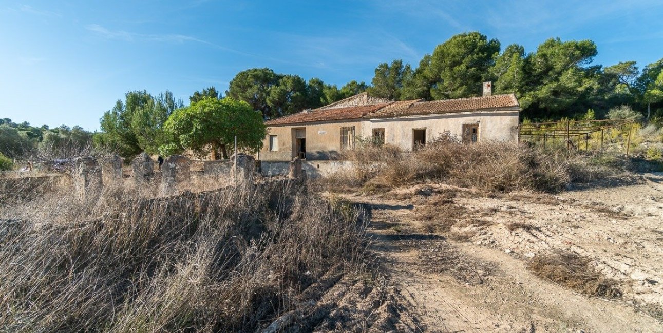 Rynek wtórny - Finca -
Pilar de la Horadada - Pinar de la Perdiz