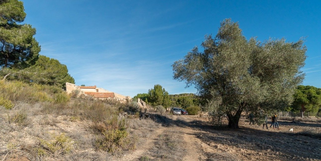 Rynek wtórny - Finca -
Pilar de la Horadada - Pinar de la Perdiz