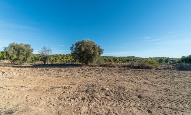 Rynek wtórny - Finca -
Pilar de la Horadada - Pinar de la Perdiz