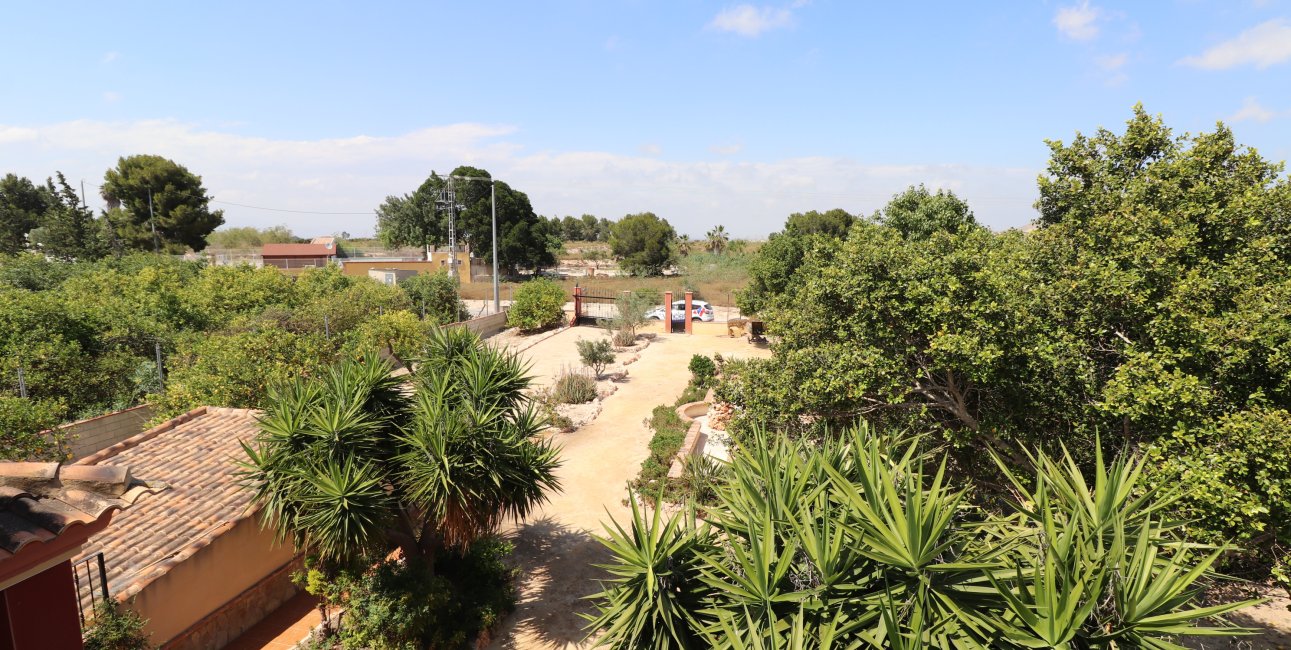 Rynek wtórny - Finca -
Algorfa - Algorfa - Country