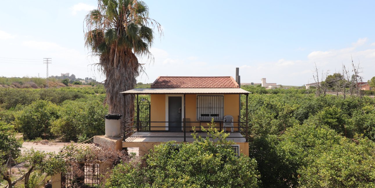 Rynek wtórny - Finca -
Algorfa - Algorfa - Country