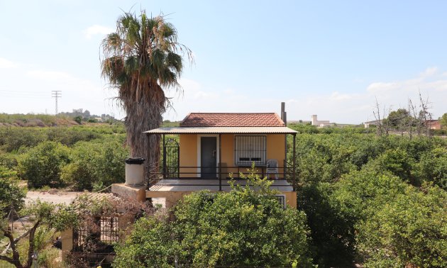 Rynek wtórny - Finca -
Algorfa - Algorfa - Country