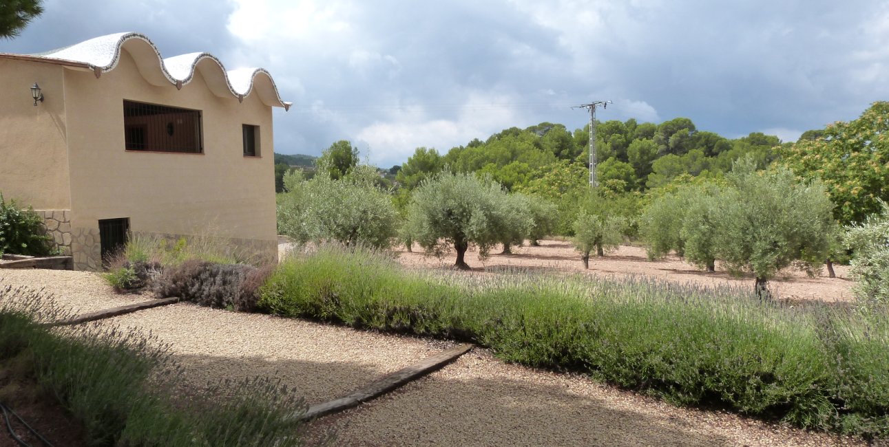 Rynek wtórny - Finca -
Ibi - Ibi - Country