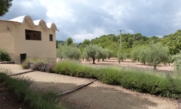 Rynek wtórny - Finca -
Ibi - Ibi - Country