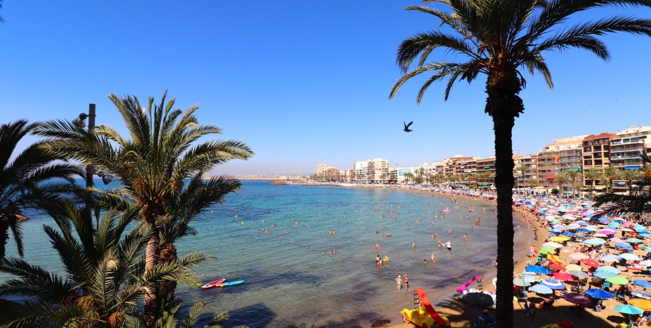 Rynek wtórny - Mieszkanie w bloku -
Torrevieja - Playa Del Cura