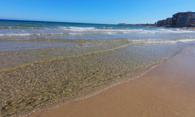 Rynek wtórny - Bungalows Planta Baja -
Torrevieja - La Veleta