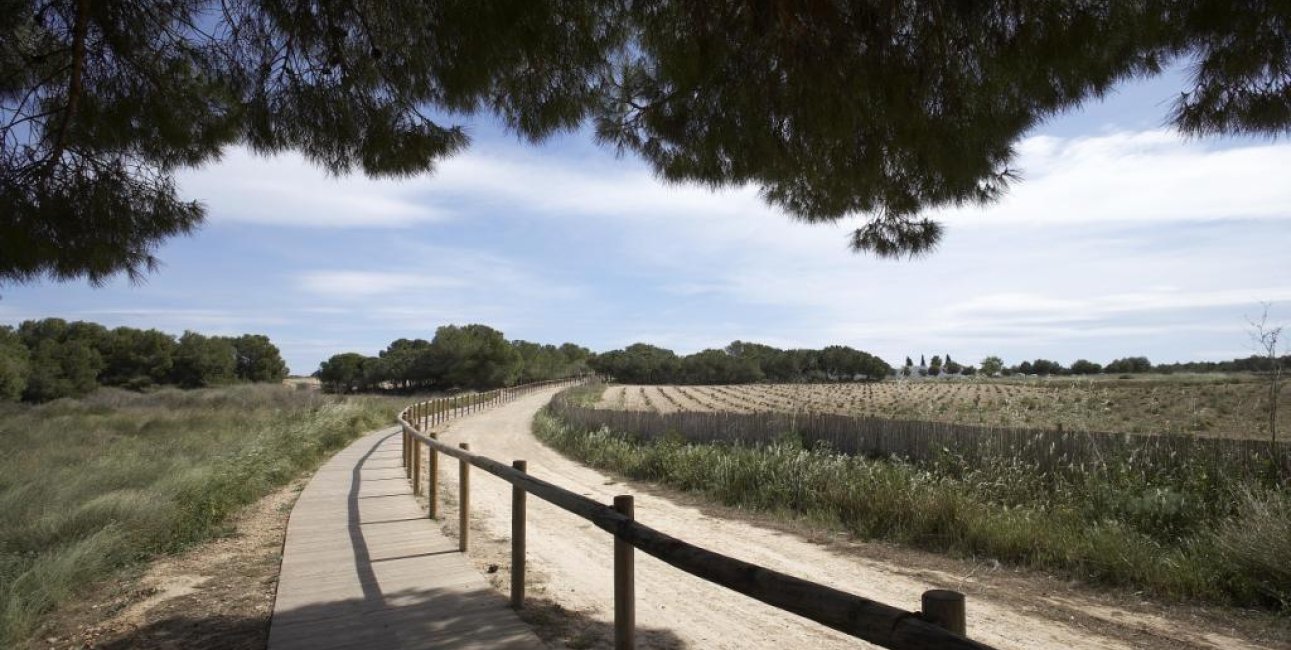 Rynek pierwotny - Bungalows Planta Baja -
Torrevieja - Aguas Nuevas