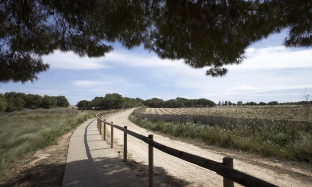 Rynek pierwotny - Bungalows Planta Baja -
Torrevieja - Aguas Nuevas