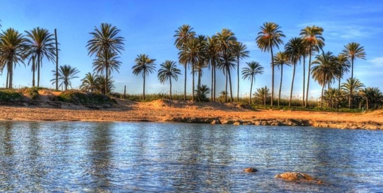 Rynek pierwotny - Mieszkanie w bloku -
Torrevieja - Playa del Cura