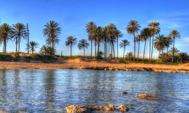 Rynek pierwotny - Mieszkanie w bloku -
Torrevieja - Playa del Cura