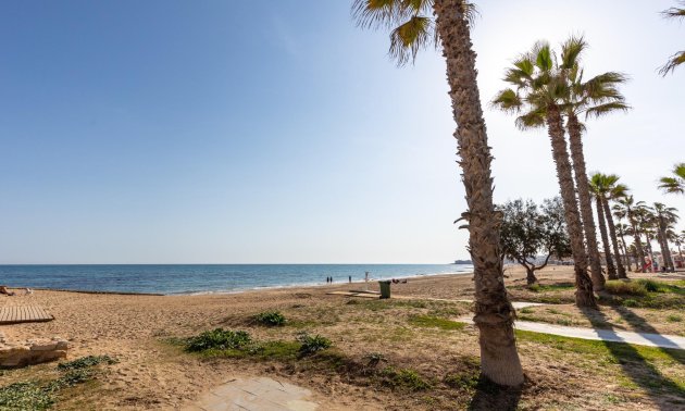 Rynek wtórny - Mieszkanie w bloku -
Torrevieja - La Mata pueblo