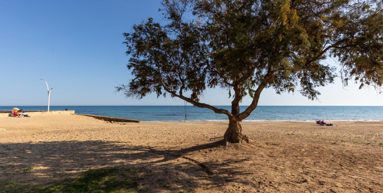 Rynek wtórny - Mieszkanie w bloku -
Torrevieja - La Mata pueblo