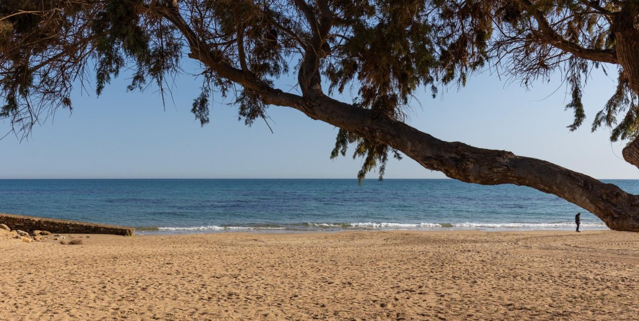 Rynek wtórny - Mieszkanie w bloku -
Torrevieja - La Mata pueblo