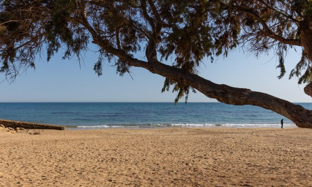 Rynek wtórny - Mieszkanie w bloku -
Torrevieja - La Mata pueblo