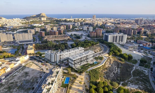 Rynek pierwotny - Penthouse -
Alicante - San Agustín-PAU 2