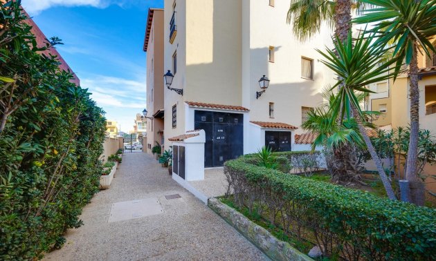 Resale - Apartment / flat -
Torrevieja - Playa de los Locos