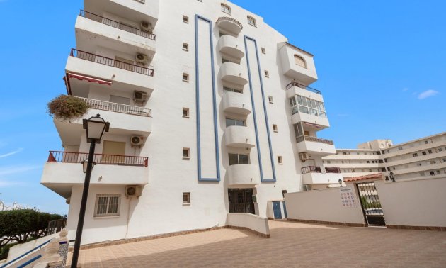 Rynek wtórny - Penthouse -
Torrevieja - Torreblanca