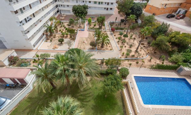 Rynek wtórny - Penthouse -
Torrevieja - Torreblanca