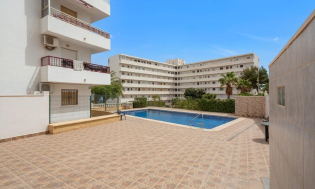 Rynek wtórny - Penthouse -
Torrevieja - Torreblanca