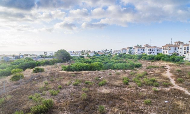 Obra nueva - Apartamento / piso -
Orihuela Costa - Playa Flamenca